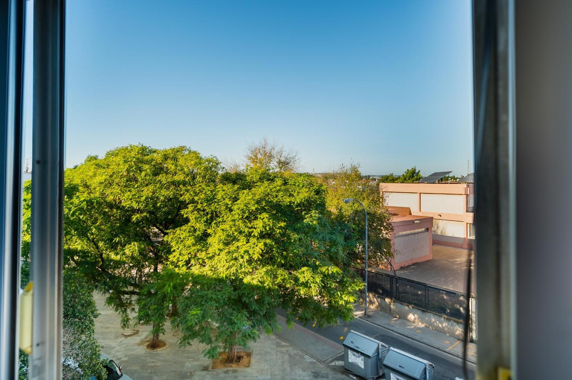 Apartamento Luminoso เซบีญา ภายนอก รูปภาพ